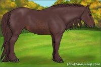 Horse Color:Chocolate Brown 