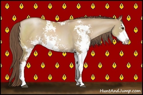 Horse Color:Grullo Pearl Sabino Rabicano