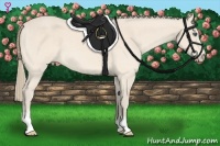Horse Color:Perlino Sabino