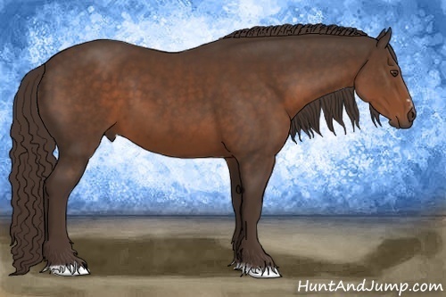 Horse Color:Liver Chestnut Sabino