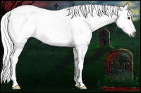 Horse Color:Gray Chestnut Splash 