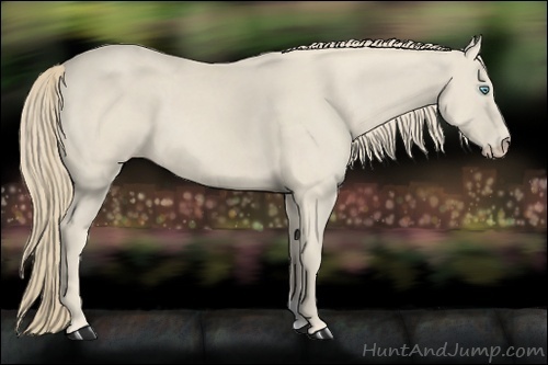 Horse Color:Smoky Creme 