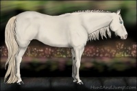 Horse Color:Smoky Creme 