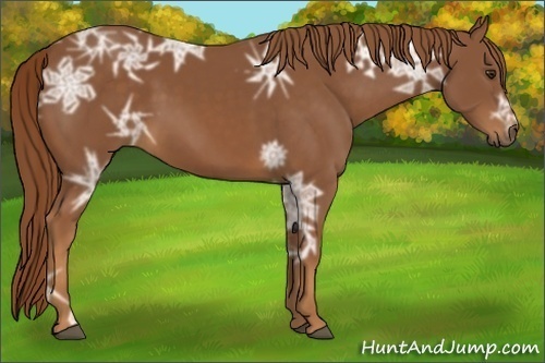 Horse Color:Chestnut Ice 