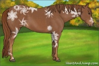 Horse Color:Chestnut Ice 