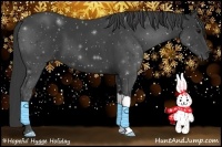 Horse Color:Smoky Black 