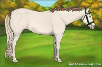 Horse Color:Perlino 