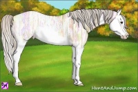 Horse Color:Silver Bay Ice Roan Dun Splash 