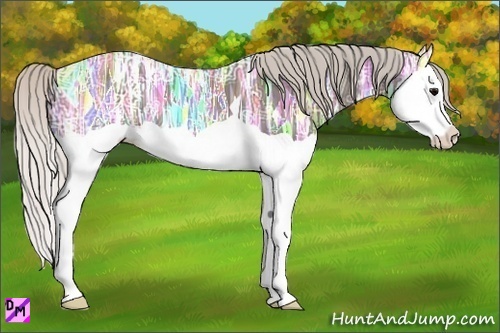 Horse Color:Silver Black Ice Splash
