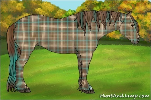 Horse Color:Plaid  Liver Chestnut 
