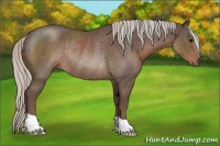 Horse Color:Silver Blue Roan Rabicano 
