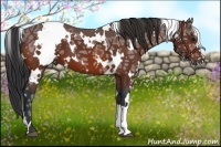 Horse Color:White Spotted Bay Ice
