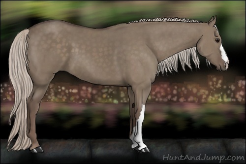 Horse Color:Silver Grullo 