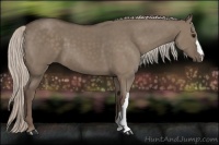 Horse Color:Silver Grullo 