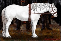 Horse Color:Grullo Splash Tobiano Varnish