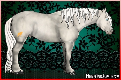 Horse Color:Cremello 