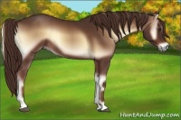 Horse Color:Red Onyx 