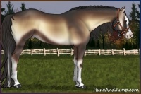 Horse Color:Liver Red Onyx Sabino Splash