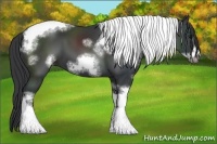 Horse Color:White Spotted Black Tobiano Frame 