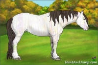 Horse Color:Amber Champagne Ice Roan Sabino