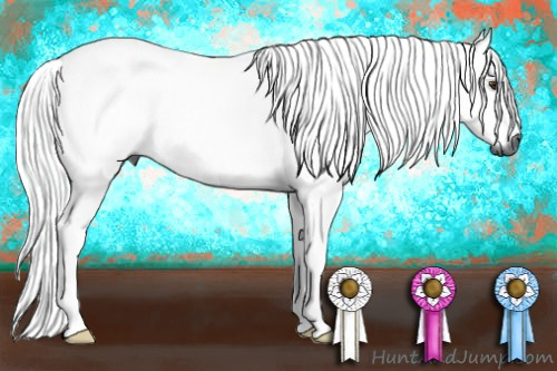 Horse Color:Gray Chestnut 