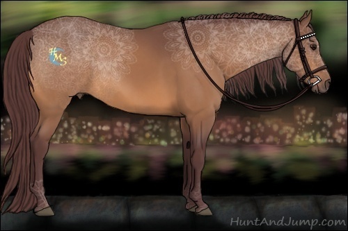 Horse Color:Chocolate Buckskin