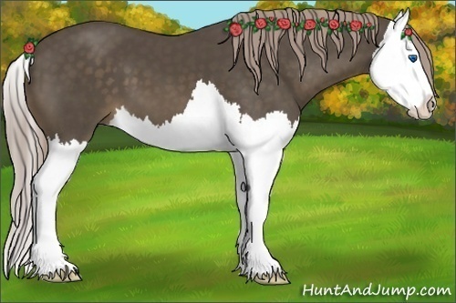 Horse Color:Chocolate Palomino Splash