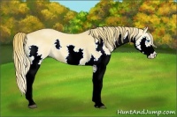 Horse Color:Red Dun Splash 