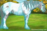 Horse Color:Thunderstruck Liver Chestnut Appaloosa