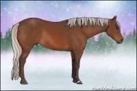 Horse Color:Silver Bay Rabicano 