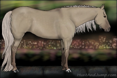 Horse Color:Silver Grullo 