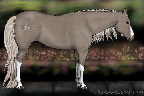 Horse Color:Silver Grullo