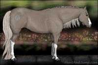 Horse Color:Silver Grullo 