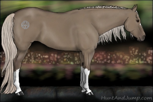 Horse Color:Silver Grullo 
