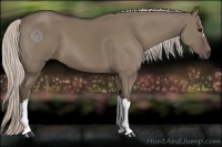 Horse Color:Silver Grullo