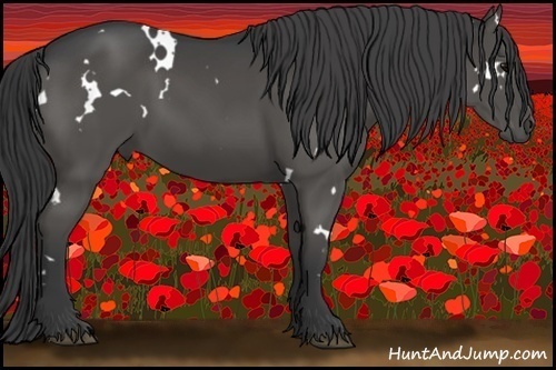 Horse Color:White Spotted Black 