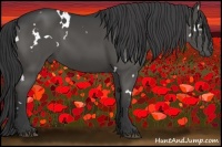 Horse Color:White Spotted Black 