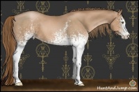 Horse Color:White Spotted Liver Chestnut Pearl