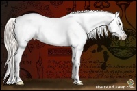 Horse Color:Silver Bay Ice Dun Varnish Rabicano 