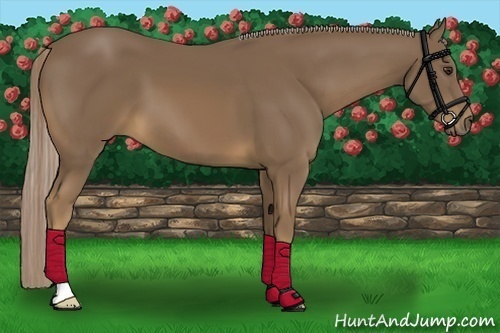 Horse Color:Chocolate Palomino 