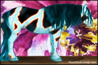 Horse Color:Gray Thunderstruck White Spotted Sable Cream Champagne Dun Appaloosa Rabicano 