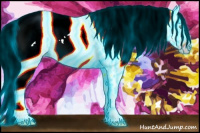 Horse Color:Gray Thunderstruck White Spotted Gold Cream Champagne Dun Appaloosa Rabicano 