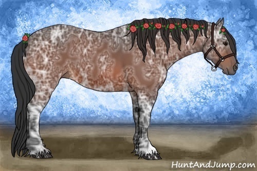 Horse Color:Bay Ice 