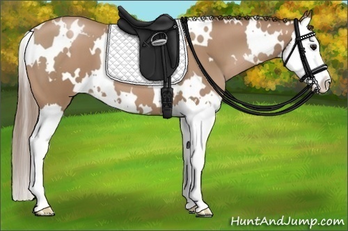 Horse Color:White Spotted Black Pearl Splash 
