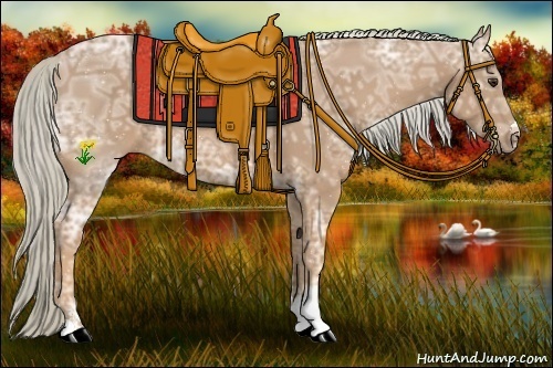 Horse Color:Palomino Ice Sabino