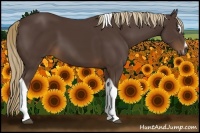 Horse Color:Liver Chestnut Sabino Tobiano 