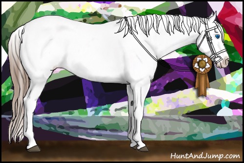 Horse Color:White Spotted Black Splash Appaloosa 