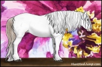 Horse Color:Red Dun Varnish 