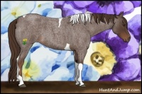 Horse Color:Liver Red Roan Tobiano 