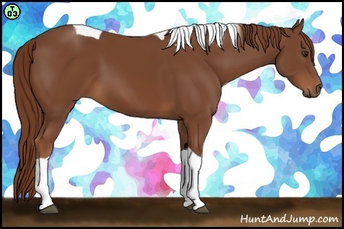 Horse Color:Chestnut Tobiano